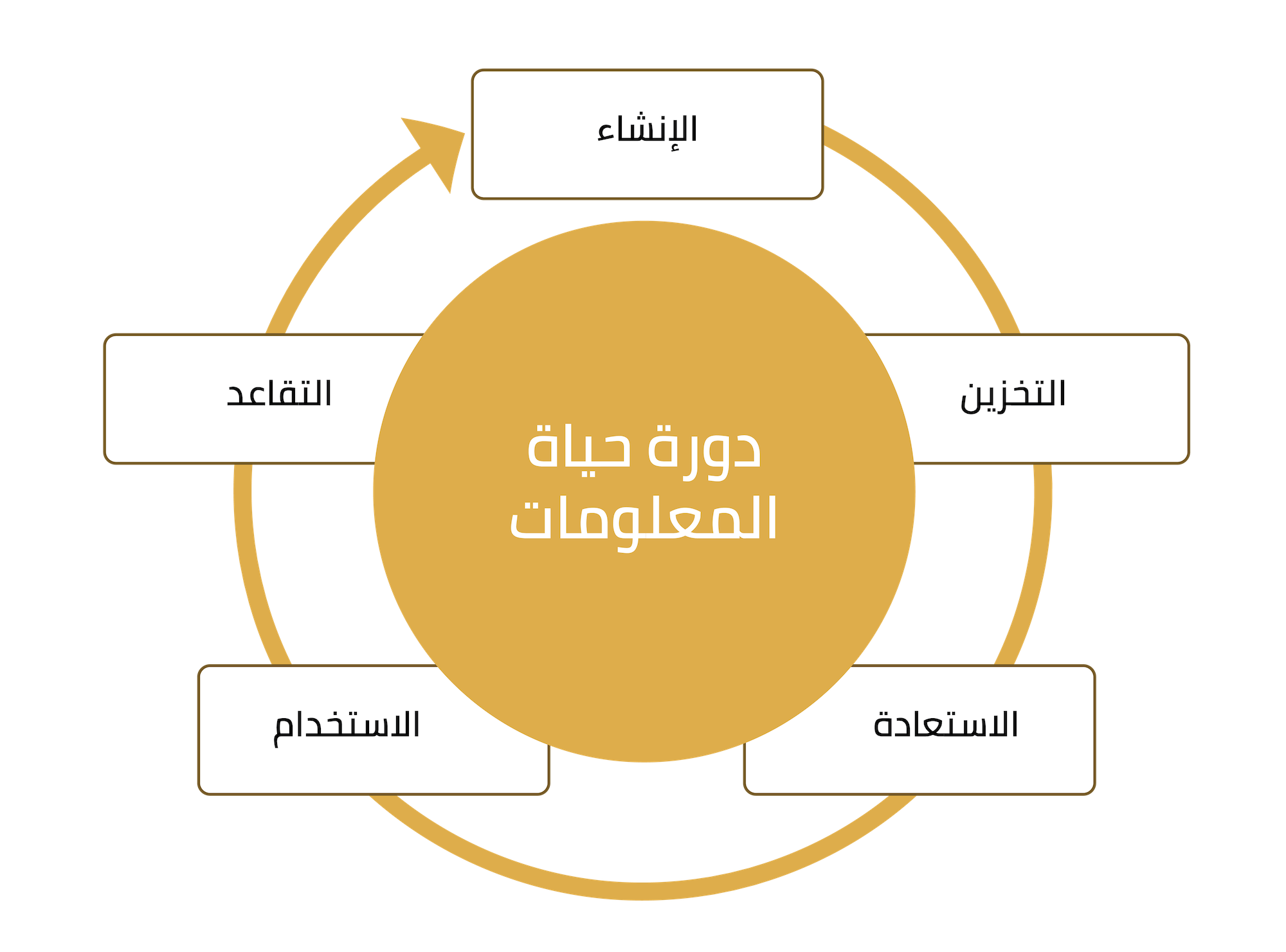 information_life_cycle_ar